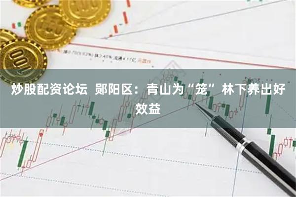 炒股配资论坛  郧阳区：青山为“笼” 林下养出好效益